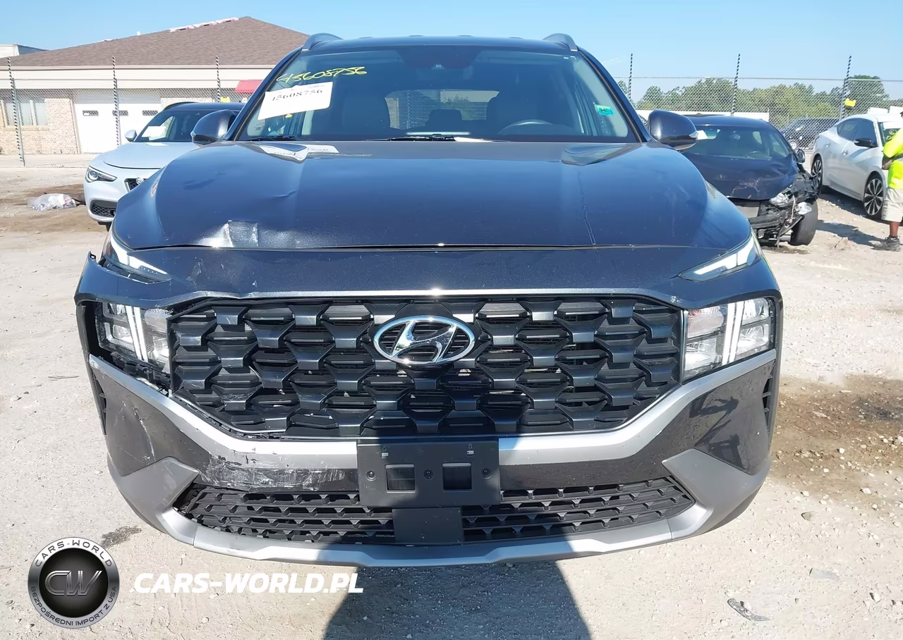 2023 Hyundai Santa Fe Sel VIN:5NMS2DAJ8PH648228 - 12