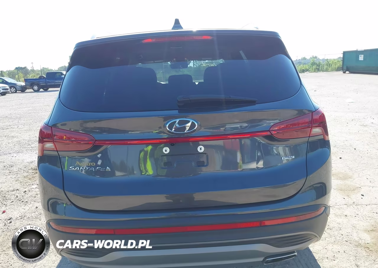 2023 Hyundai Santa Fe Sel VIN:5NMS2DAJ8PH648228 - 16