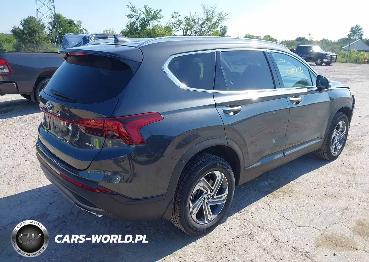 2023 Hyundai Santa Fe Sel VIN:5NMS2DAJ8PH648228 - 4