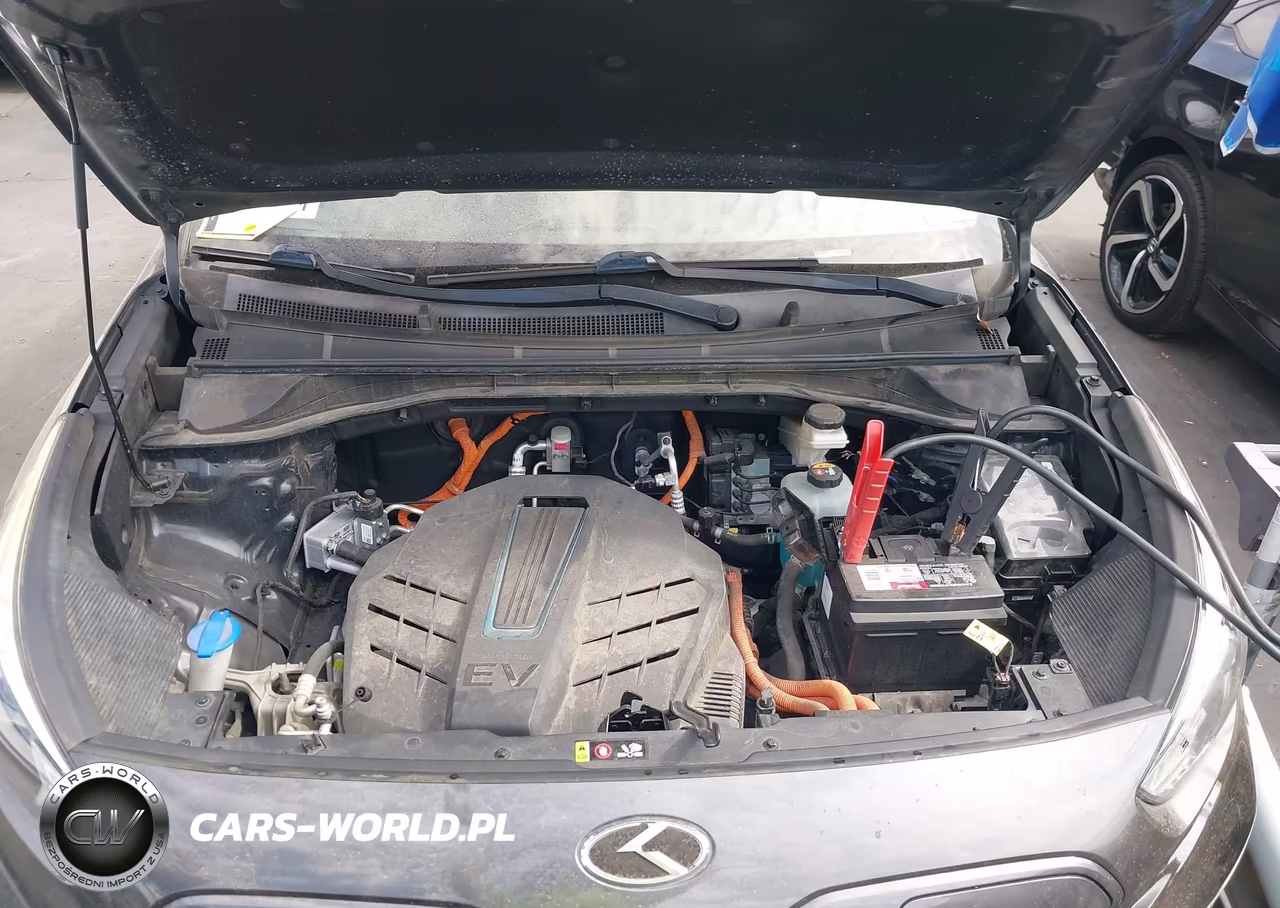 2020 Kia Niro Ev Ex Premium VIN:KNDCE3LG5L5064101 - 10