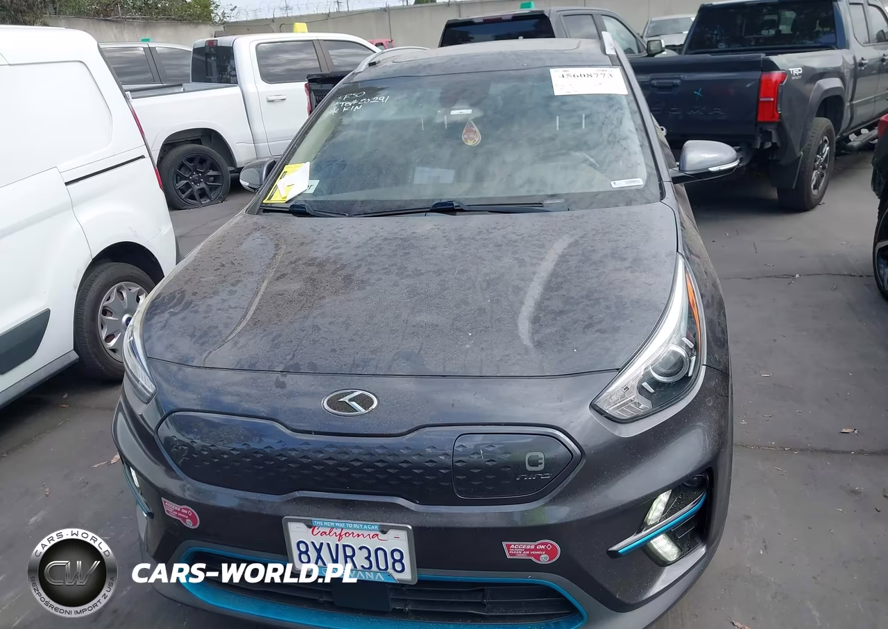2020 Kia Niro Ev Ex Premium VIN:KNDCE3LG5L5064101 - 13