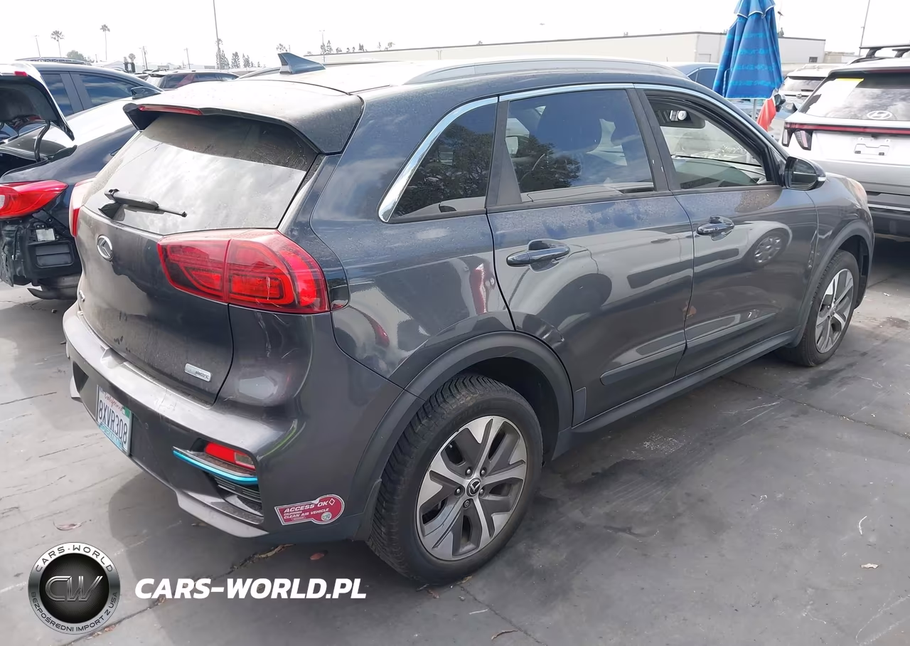 2020 Kia Niro Ev Ex Premium VIN:KNDCE3LG5L5064101 - 4