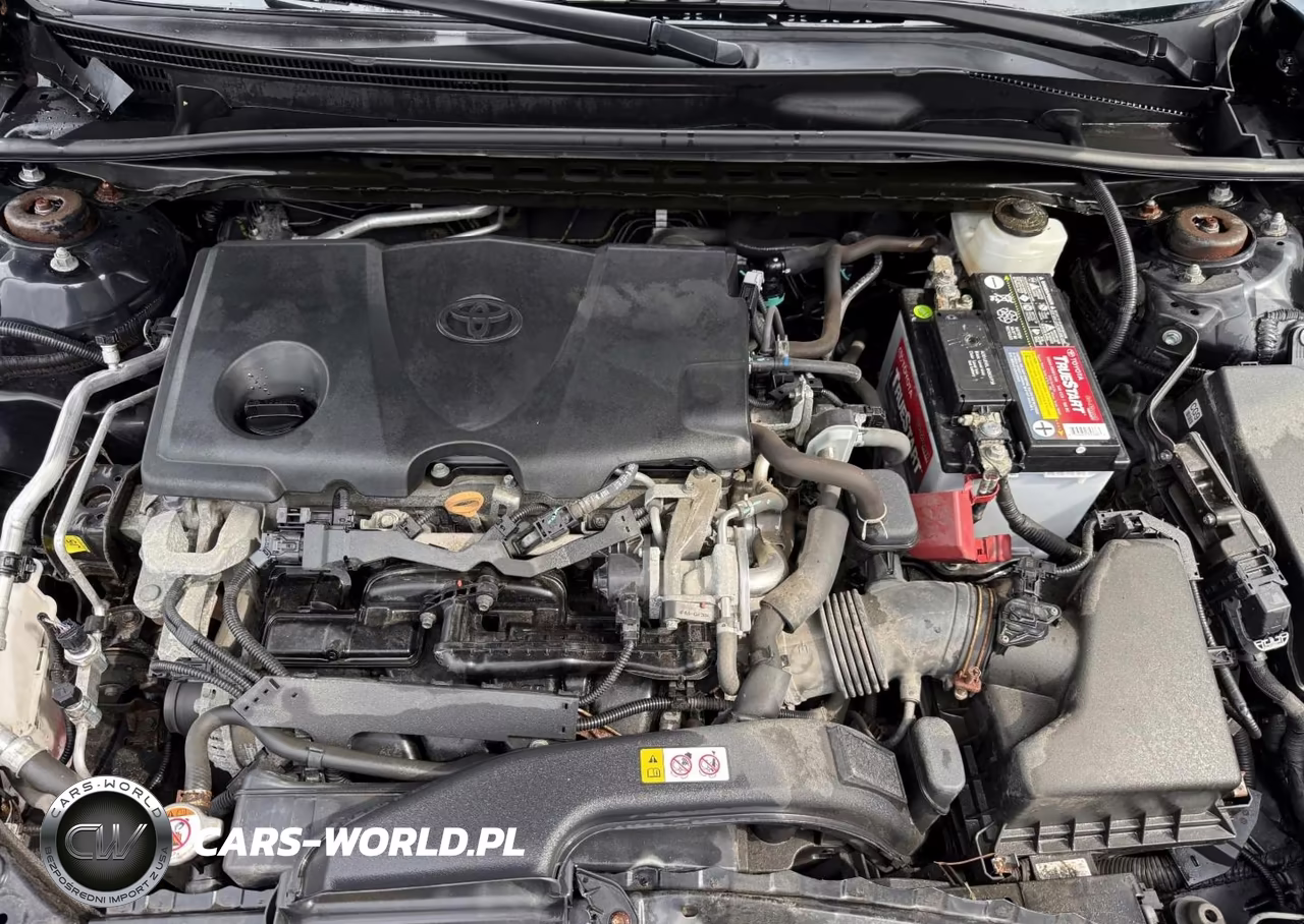 2019 Toyota Camry Se VIN:4T1B11HK0KU276445 - 10