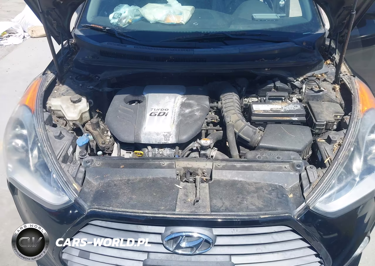 2015 Hyundai Veloster Turbo VIN:KMHTC6AE4FU221695 - 10