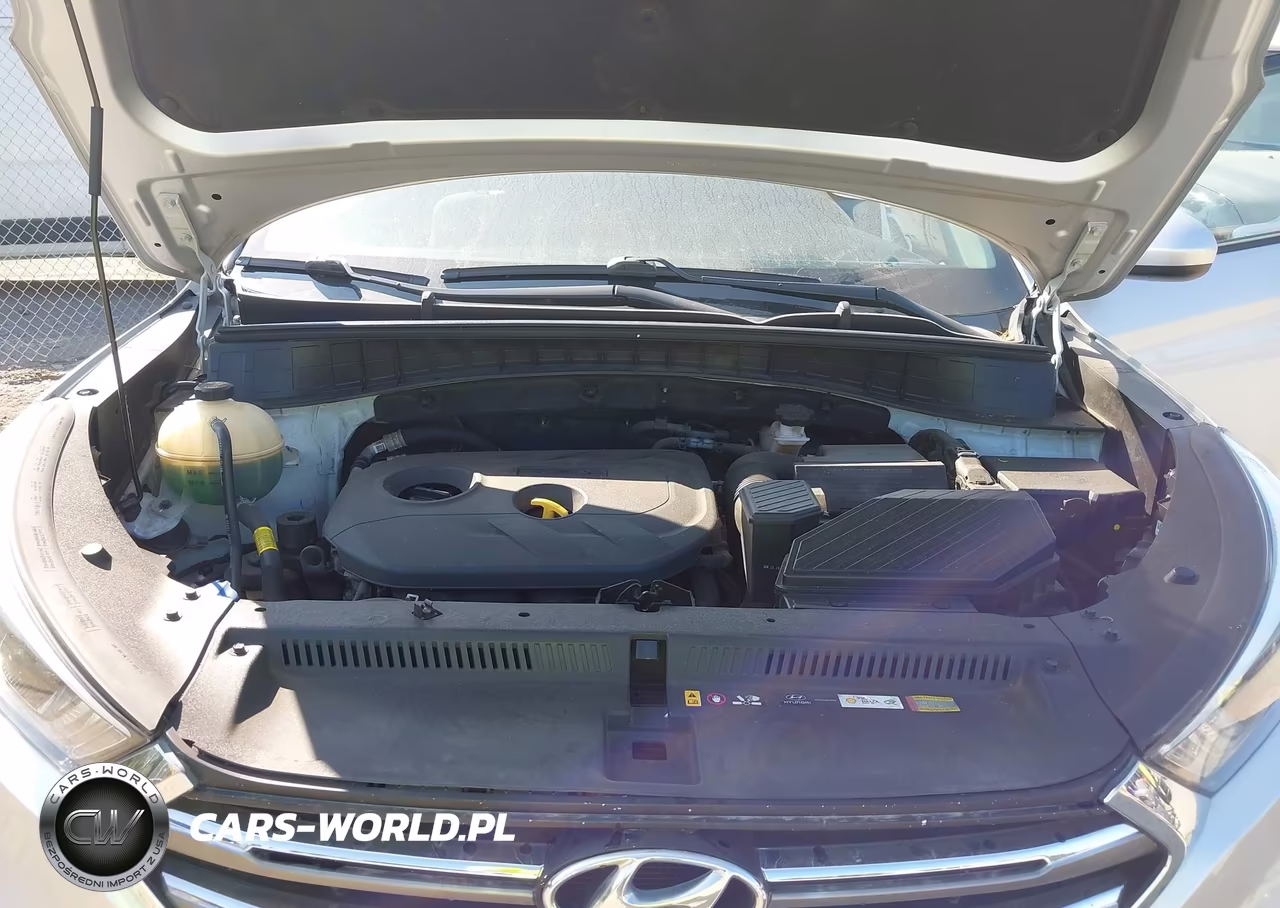 2018 Hyundai Tucson Sel VIN:KM8J33A46JU669488 - 10