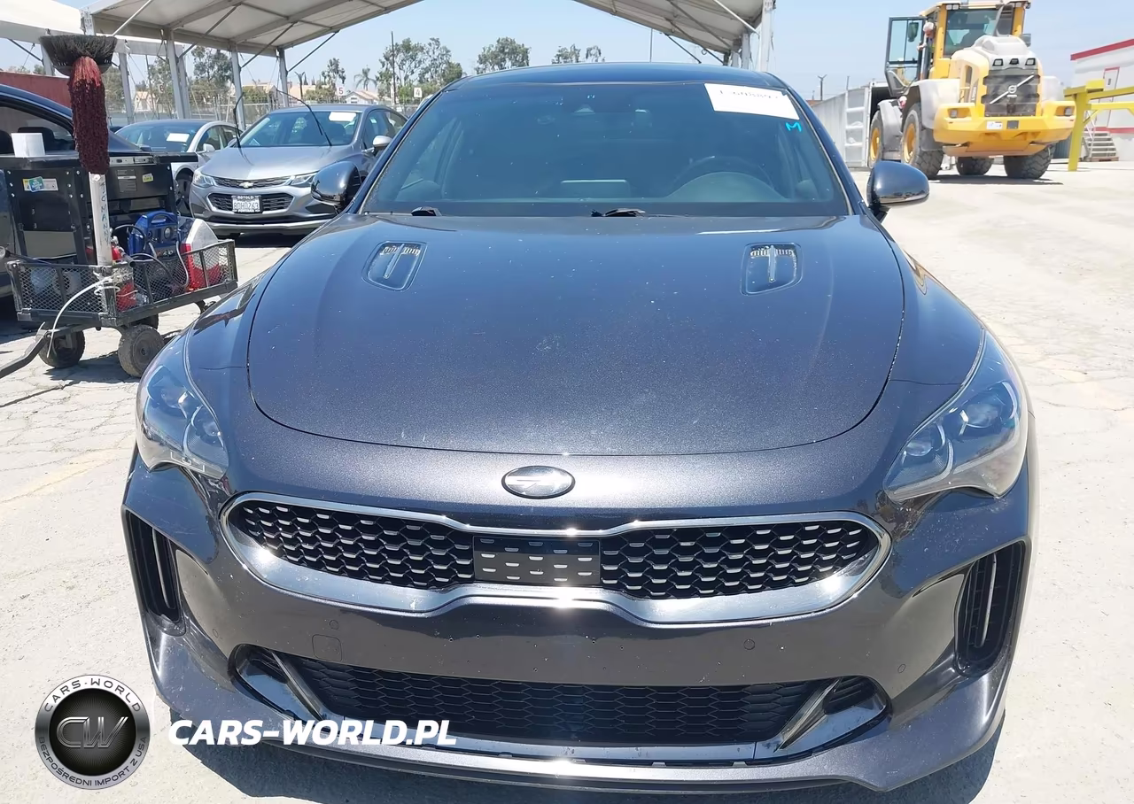 2019 Kia Stinger Gt1 VIN:KNAE45LC1K6062243 - 12