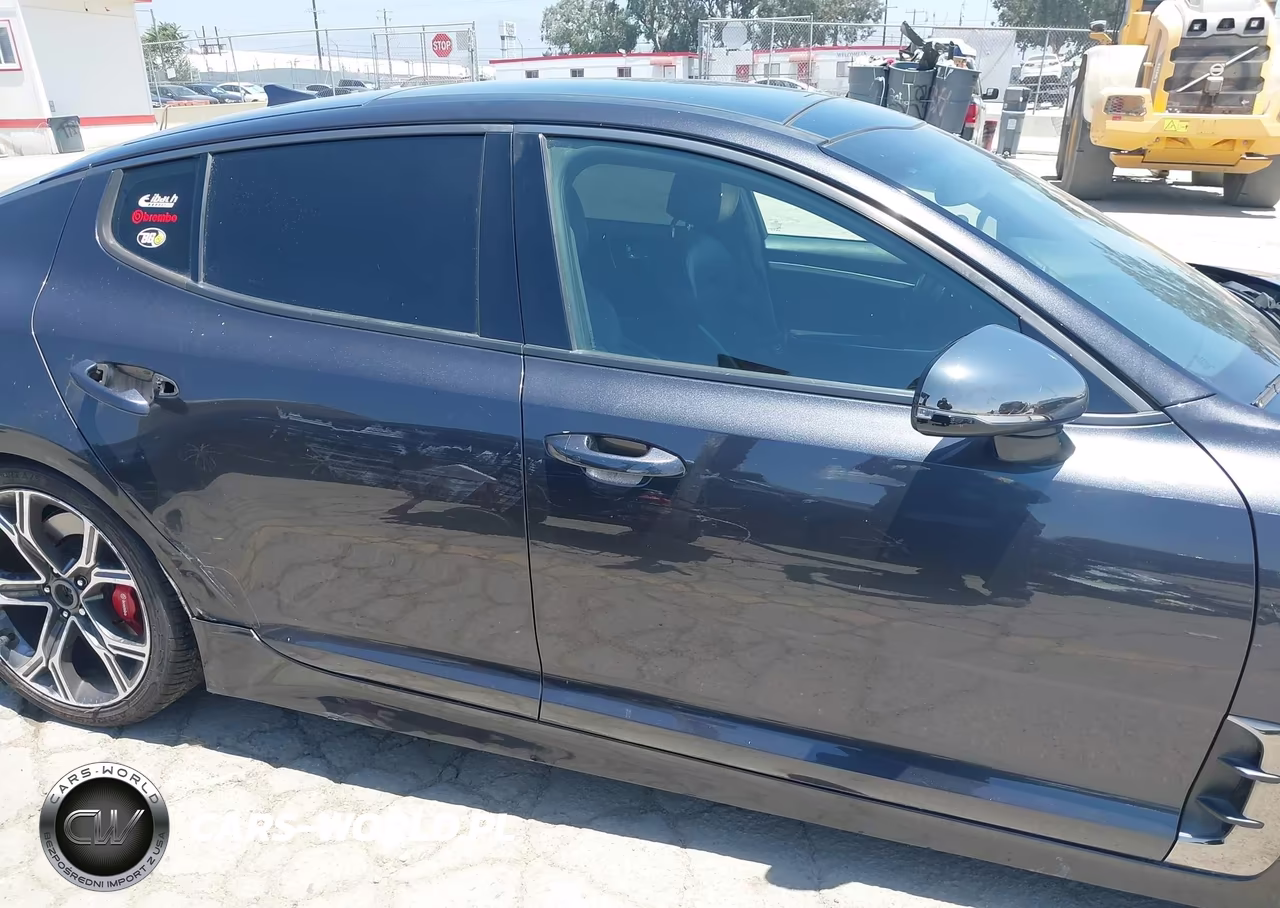 2019 Kia Stinger Gt1 VIN:KNAE45LC1K6062243 - 13