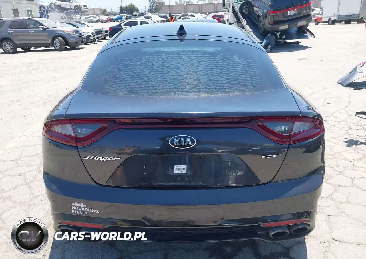 2019 Kia Stinger Gt1 VIN:KNAE45LC1K6062243 - 16