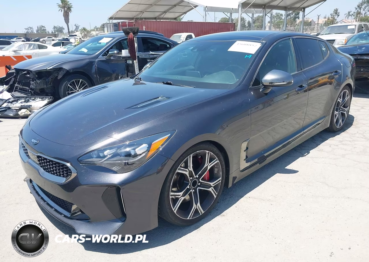 2019 Kia Stinger Gt1 VIN:KNAE45LC1K6062243 - 2