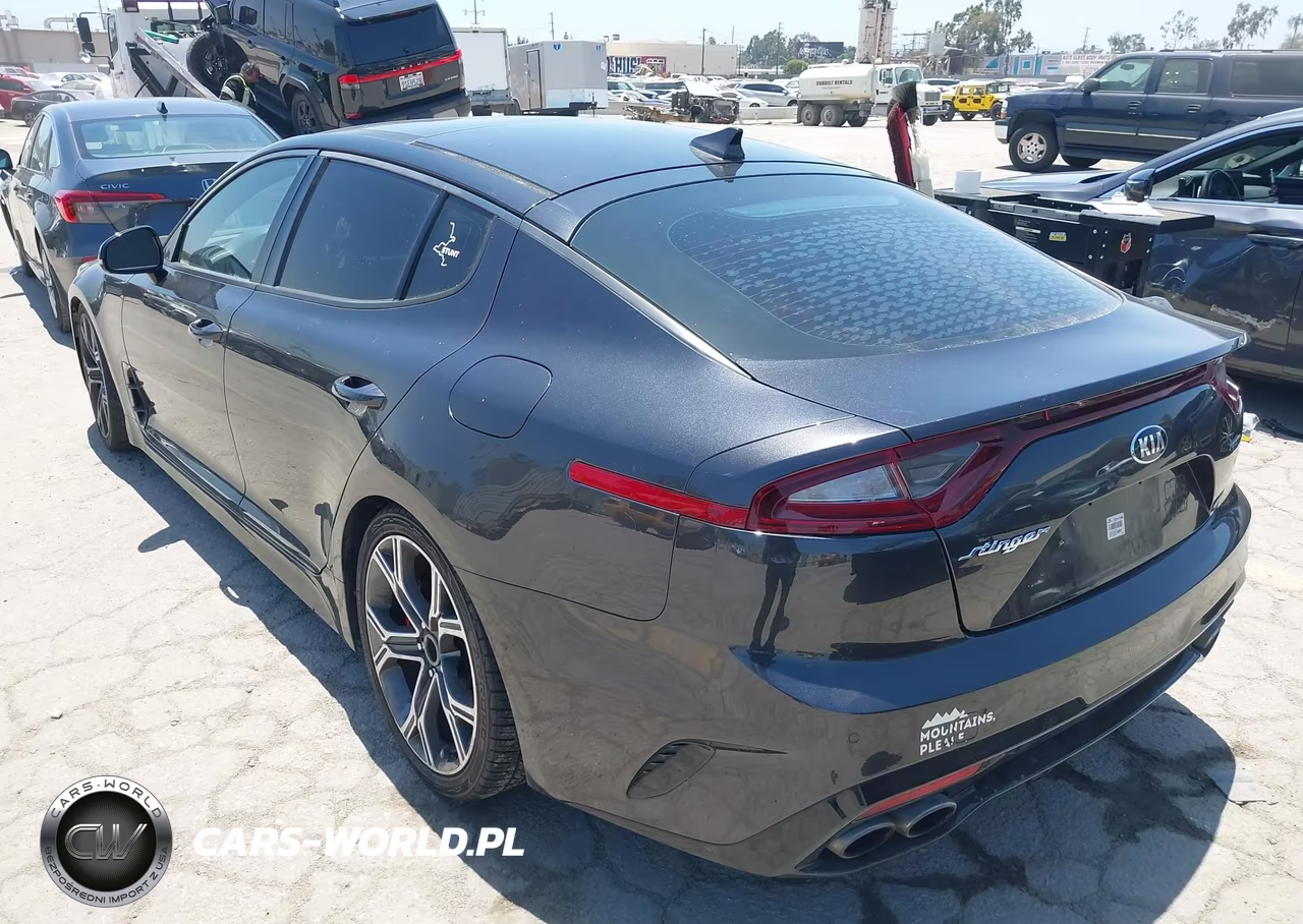 2019 Kia Stinger Gt1 VIN:KNAE45LC1K6062243 - 3