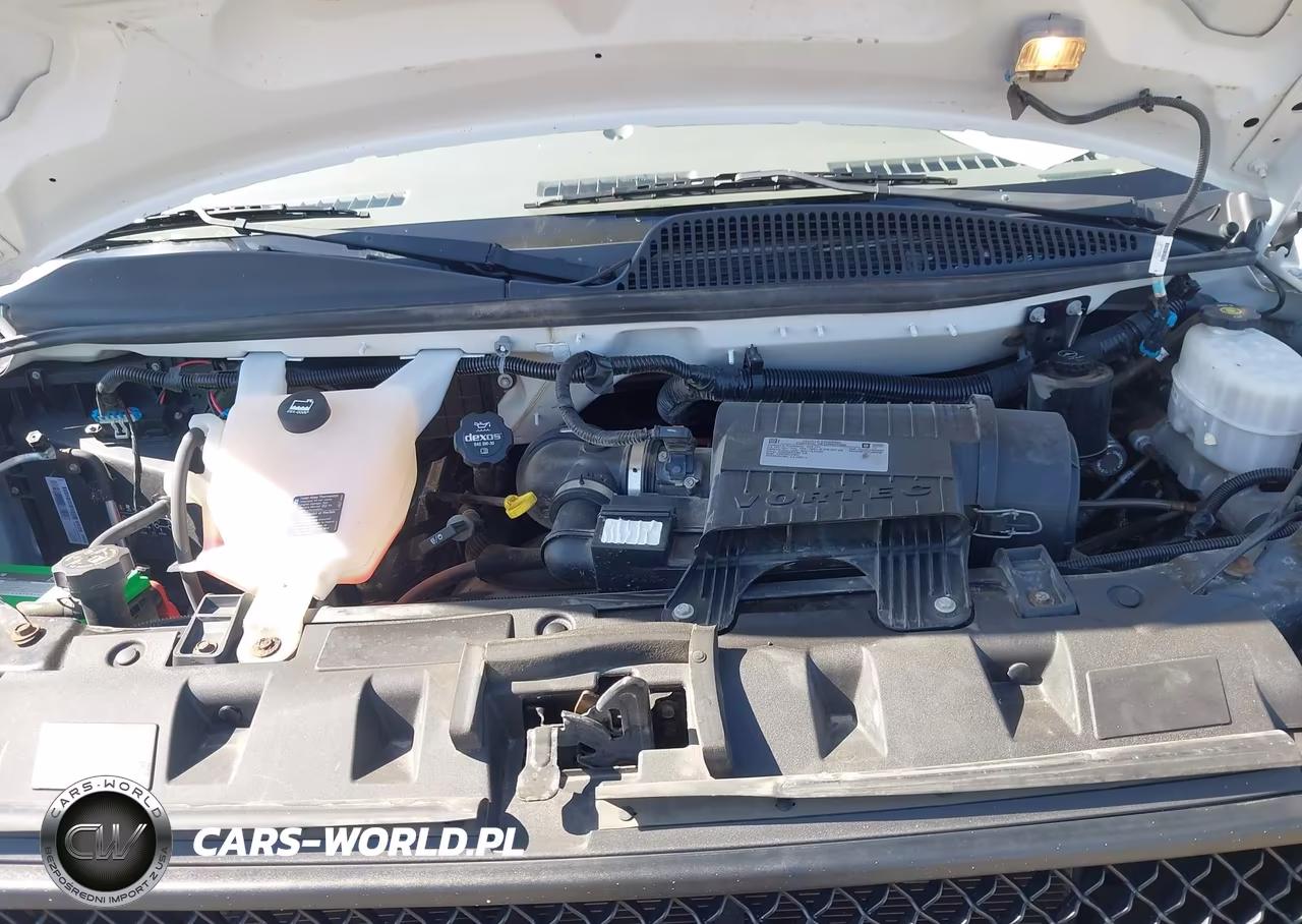 2019 Chevrolet Express 3500 Ls VIN:1GAZGNFG7K1360036 - 10