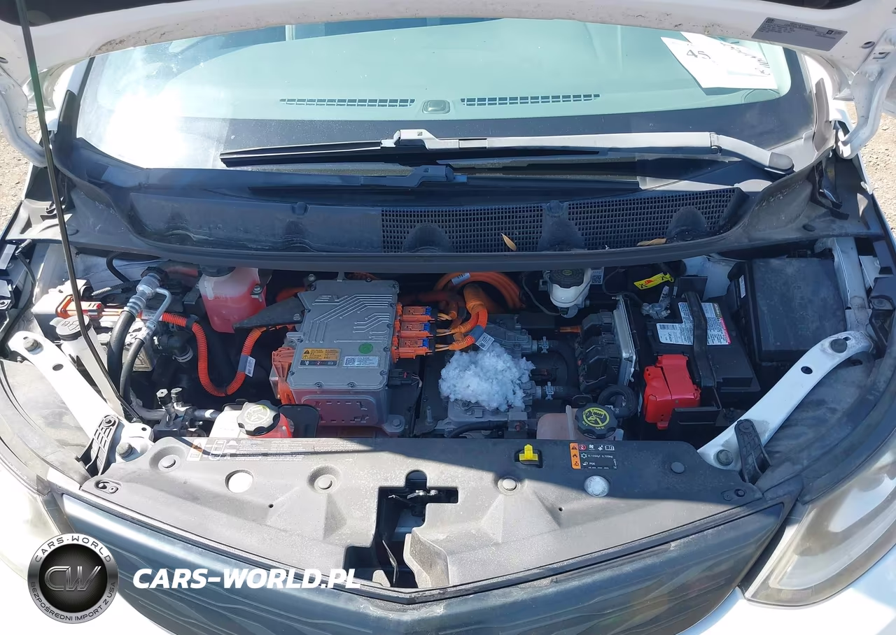 2019 Chevrolet Bolt Ev Lt VIN:1G1FW6S0XK4101205 - 10
