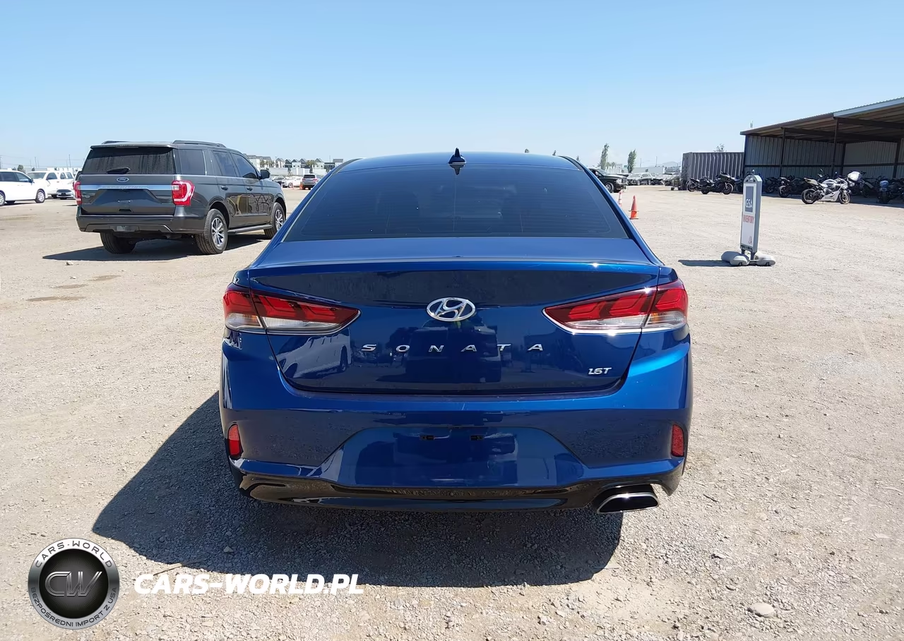 2019 Hyundai Sonata Eco VIN:5NPE24AA1KH802366 - 17