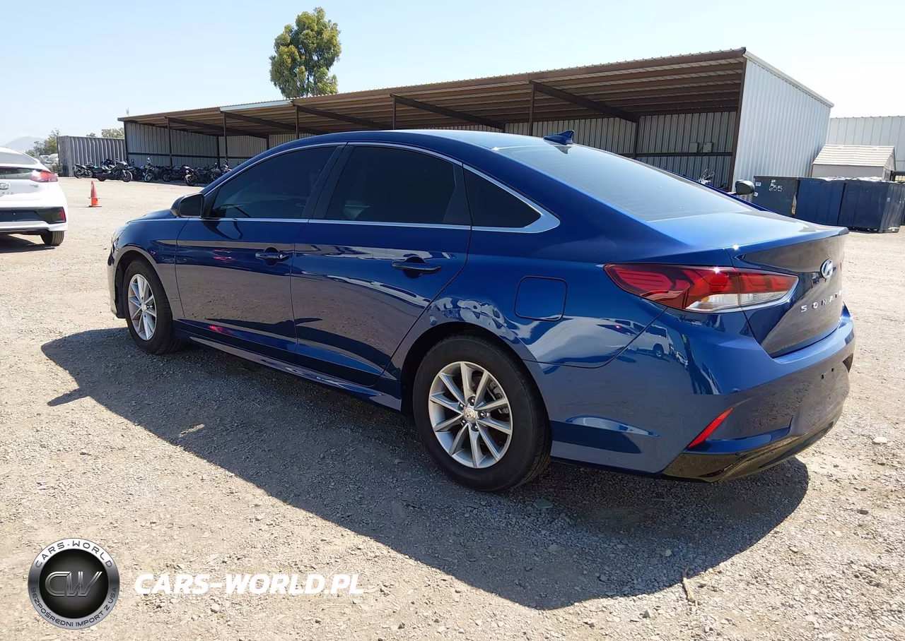 2019 Hyundai Sonata Eco VIN:5NPE24AA1KH802366 - 3