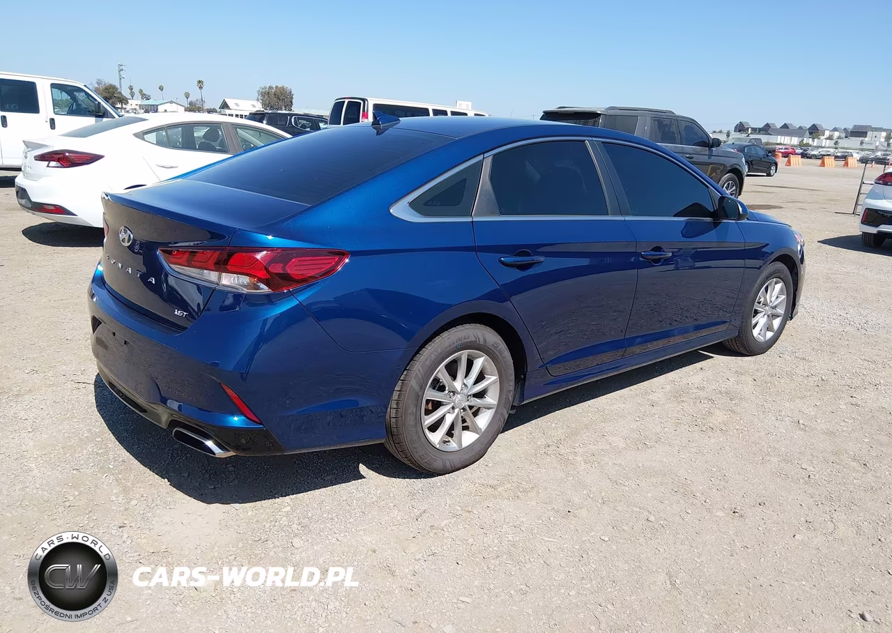 2019 Hyundai Sonata Eco VIN:5NPE24AA1KH802366 - 4