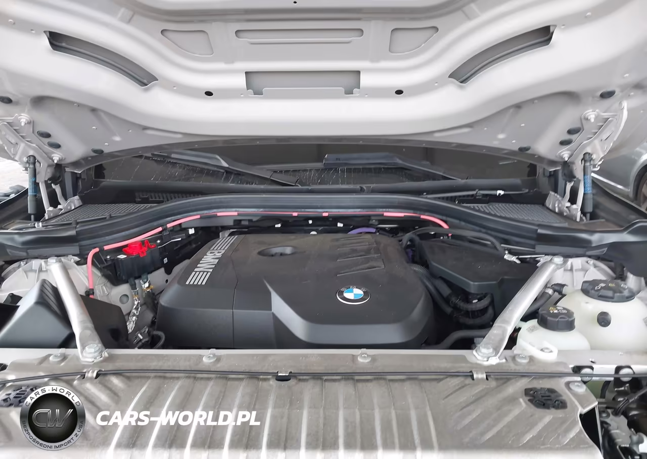 2025 BMW X3 30 xDrive VIN:5UX53GP00S9115111 - 10
