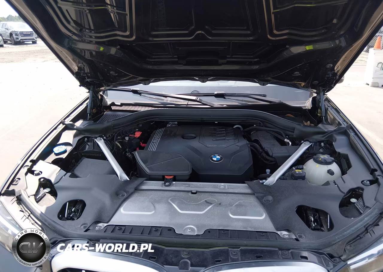 2022 BMW X4 xDrive30I VIN:5UX33DT0XN9M96885 - 10