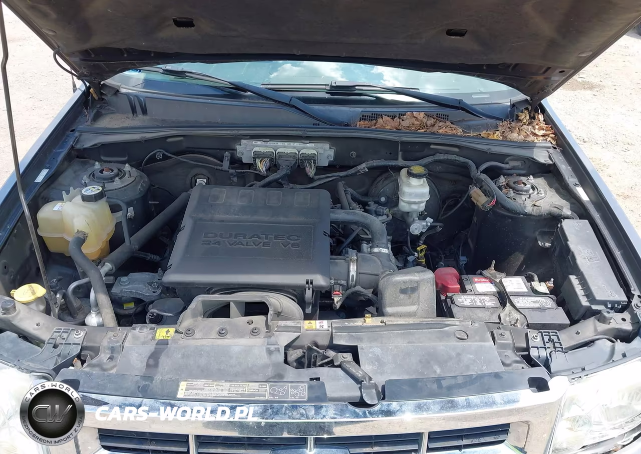 2009 Ford Escape Xlt VIN:1FMCU03G59KC04137 - 10