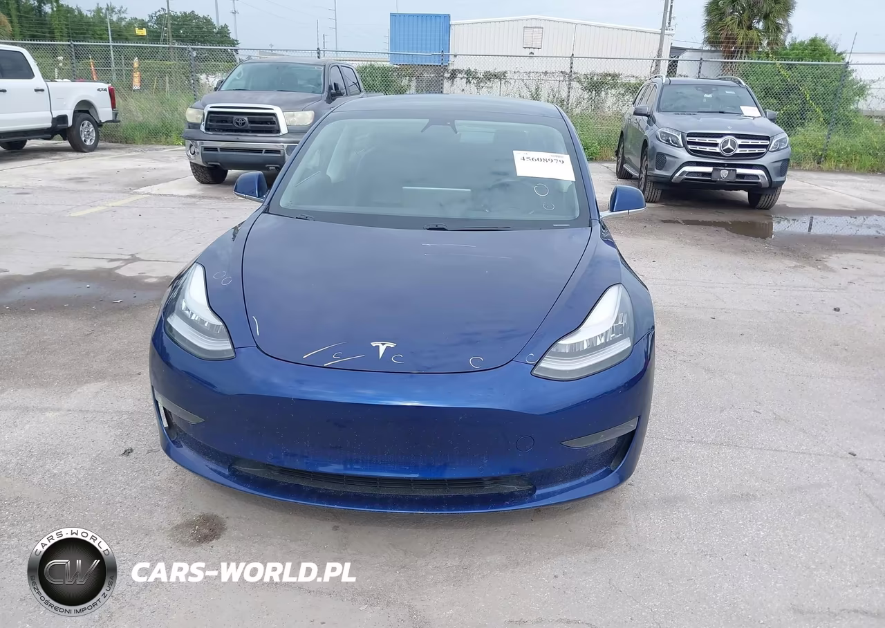 2020 Tesla Model 3 Standard Range Plus Rear-Wheel Drive-Standard Range Rear-Wheel Drive VIN:5YJ3E1EA2LF805638 - 12
