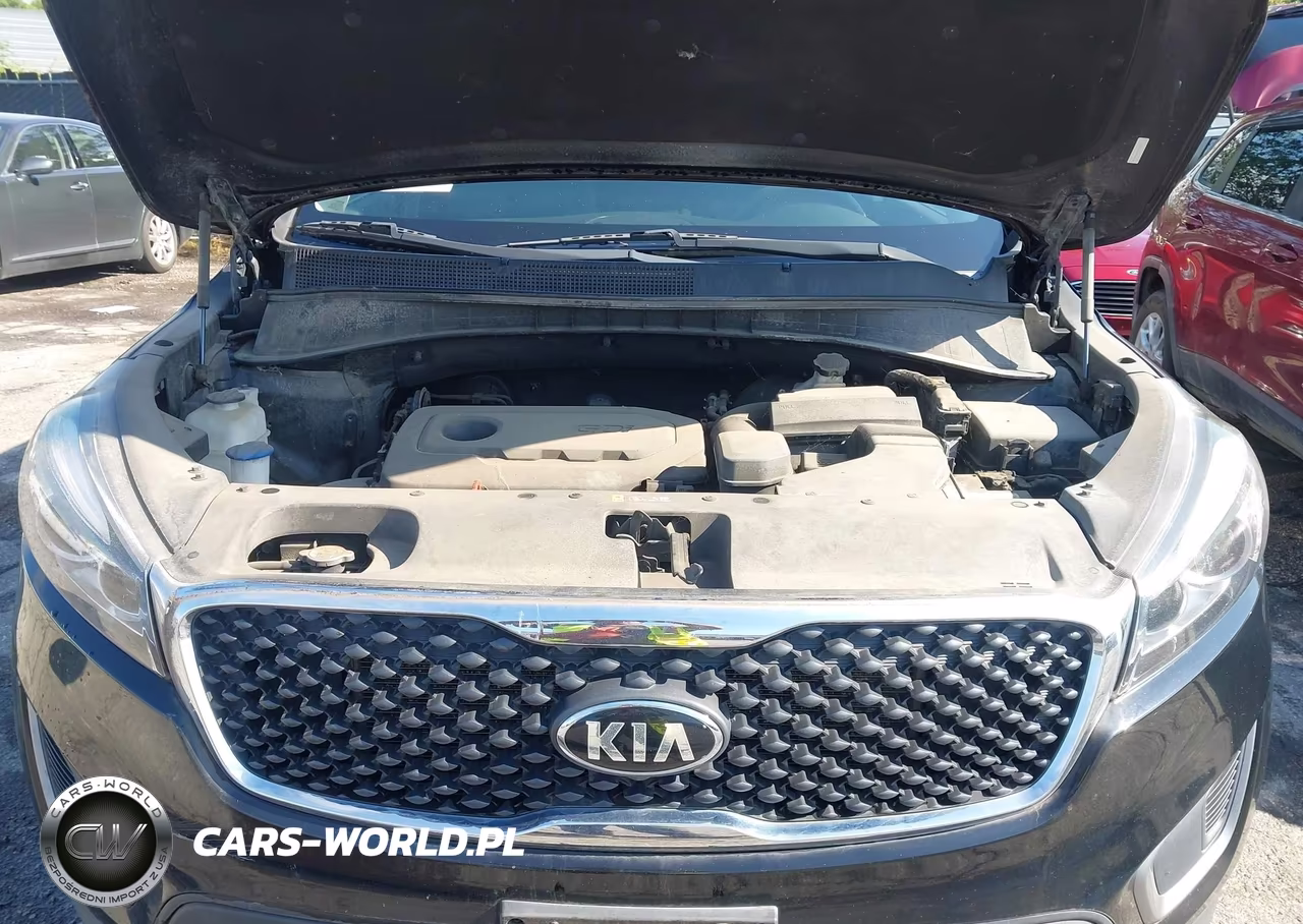 2016 Kia Sorento 2.4L Lx VIN:5XYPG4A32GG081744 - 10