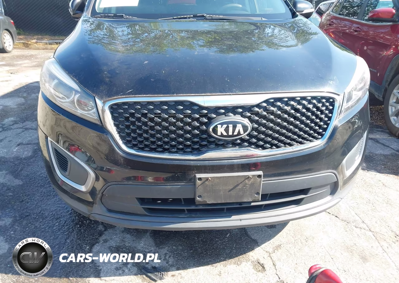 2016 Kia Sorento 2.4L Lx VIN:5XYPG4A32GG081744 - 6
