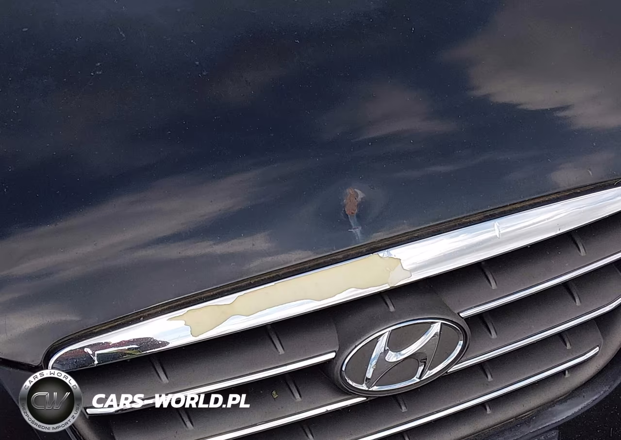 2009 Hyundai Elantra Gls VIN:KMHDU46D49U690487 - 5