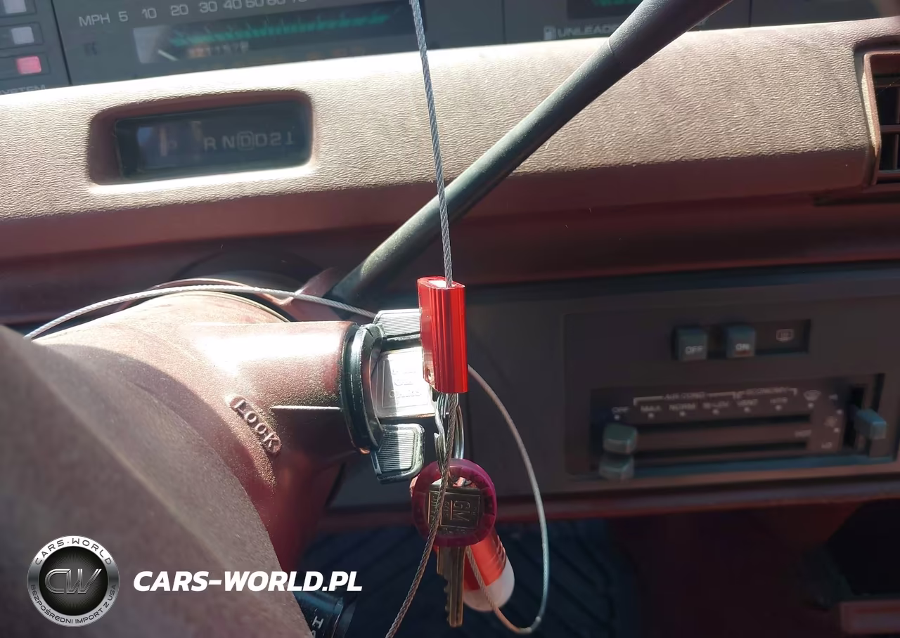 1991 Pontiac 6000 Le VIN:1G2AF84T0M6229405 - 11