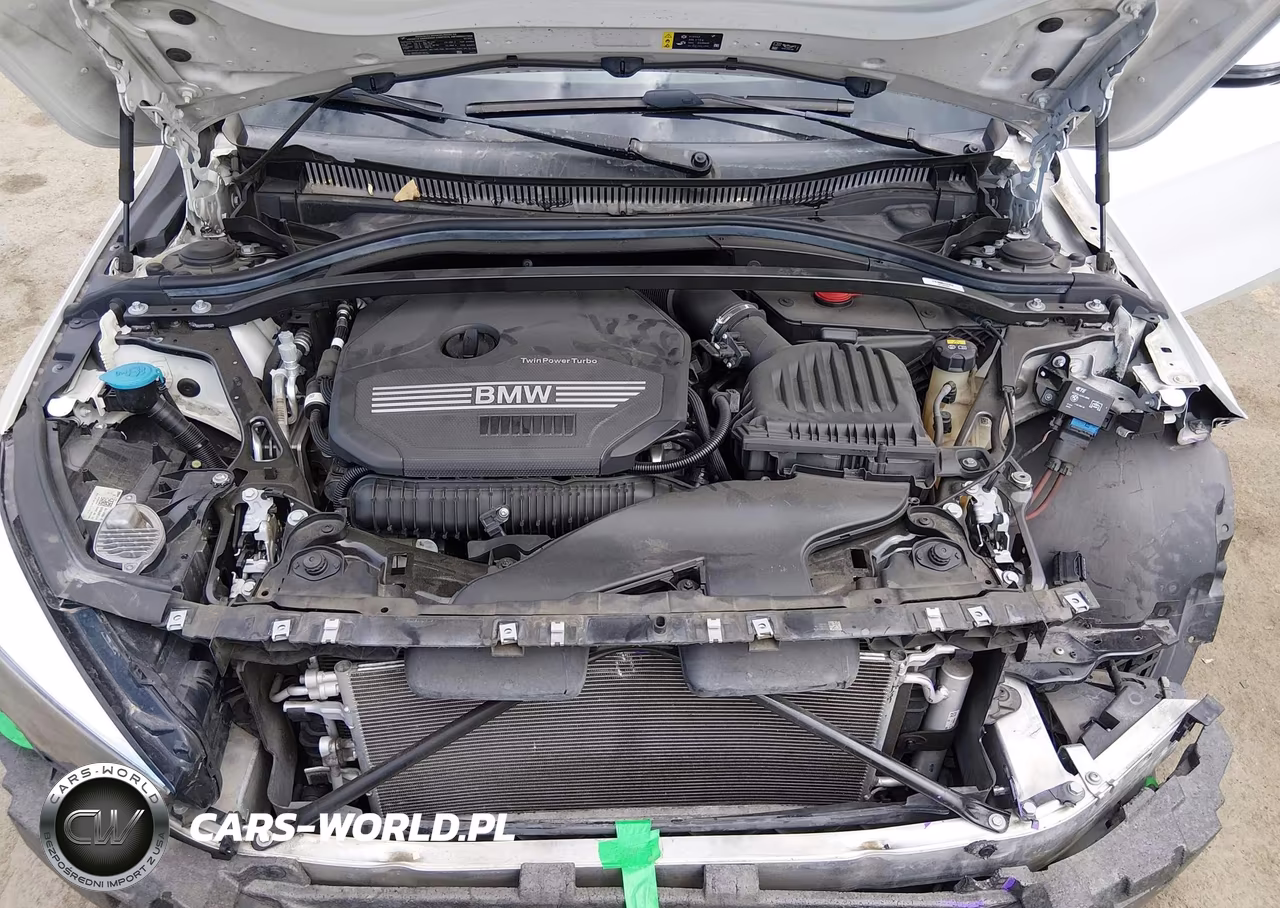 2021 BMW 228I Gran Coupe xDrive VIN:WBA73AK01M7G33421 - 10