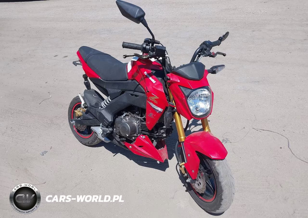 2023 Kawasaki Br125 J