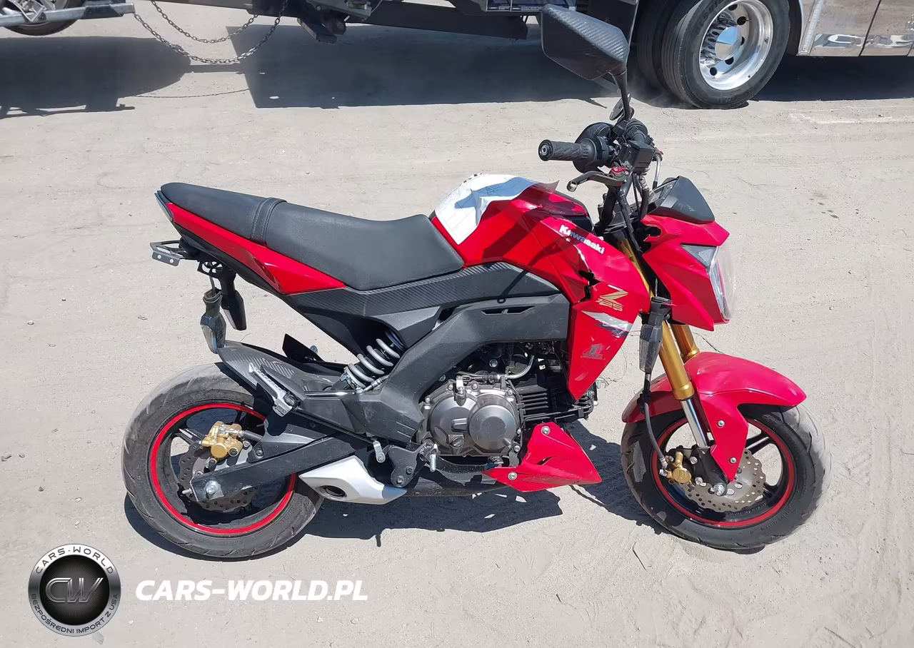2023 Kawasaki Br125 J VIN:JKABRRJ11PDA25161 - 11