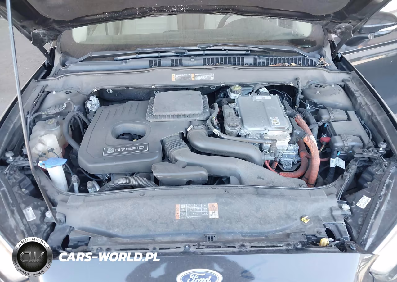2016 Ford Fusion Hybrid Se VIN:3FA6P0LU8GR187699 - 10