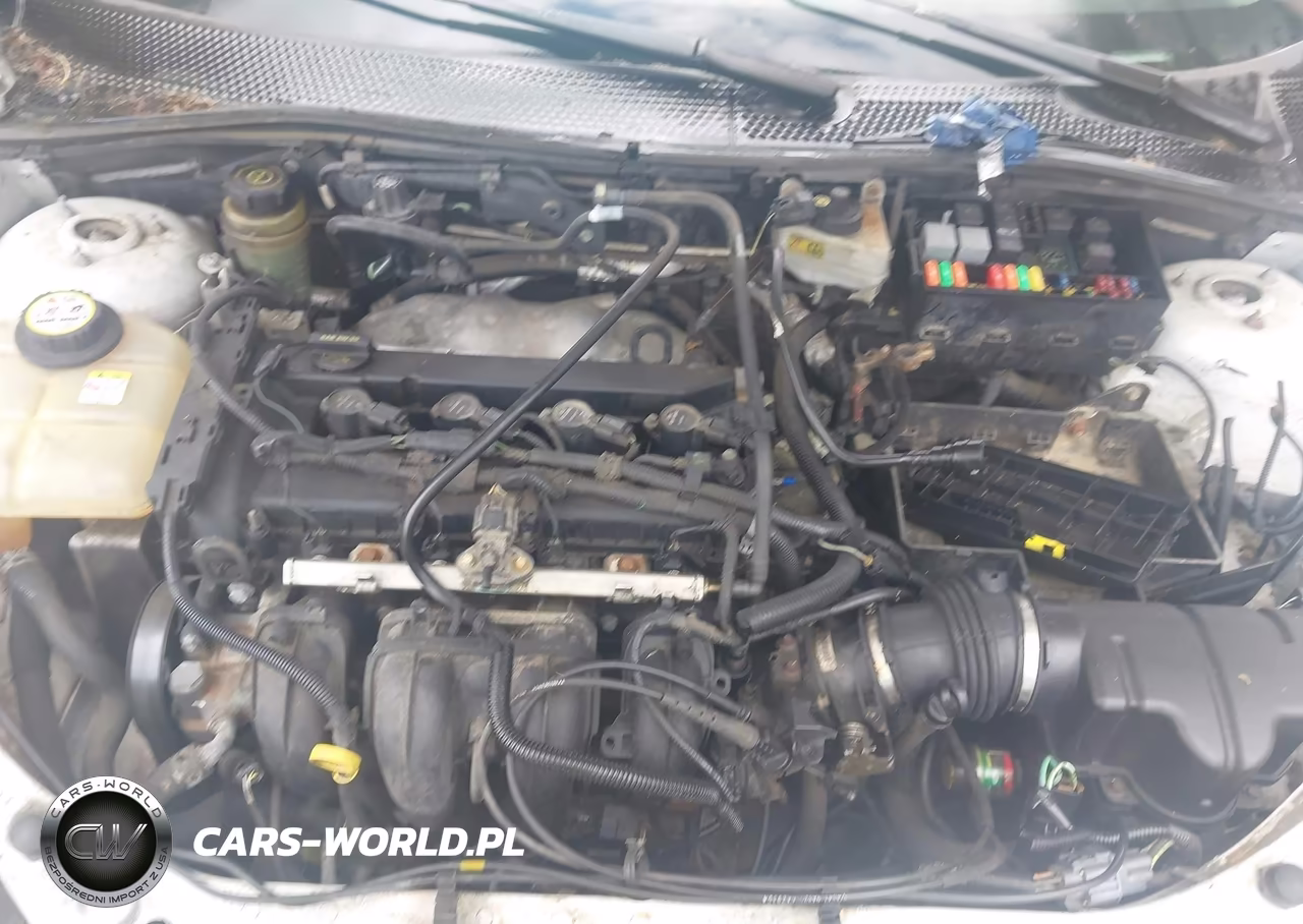 2005 Ford Focus Zxw VIN:1FAFP36N85W219597 - 10