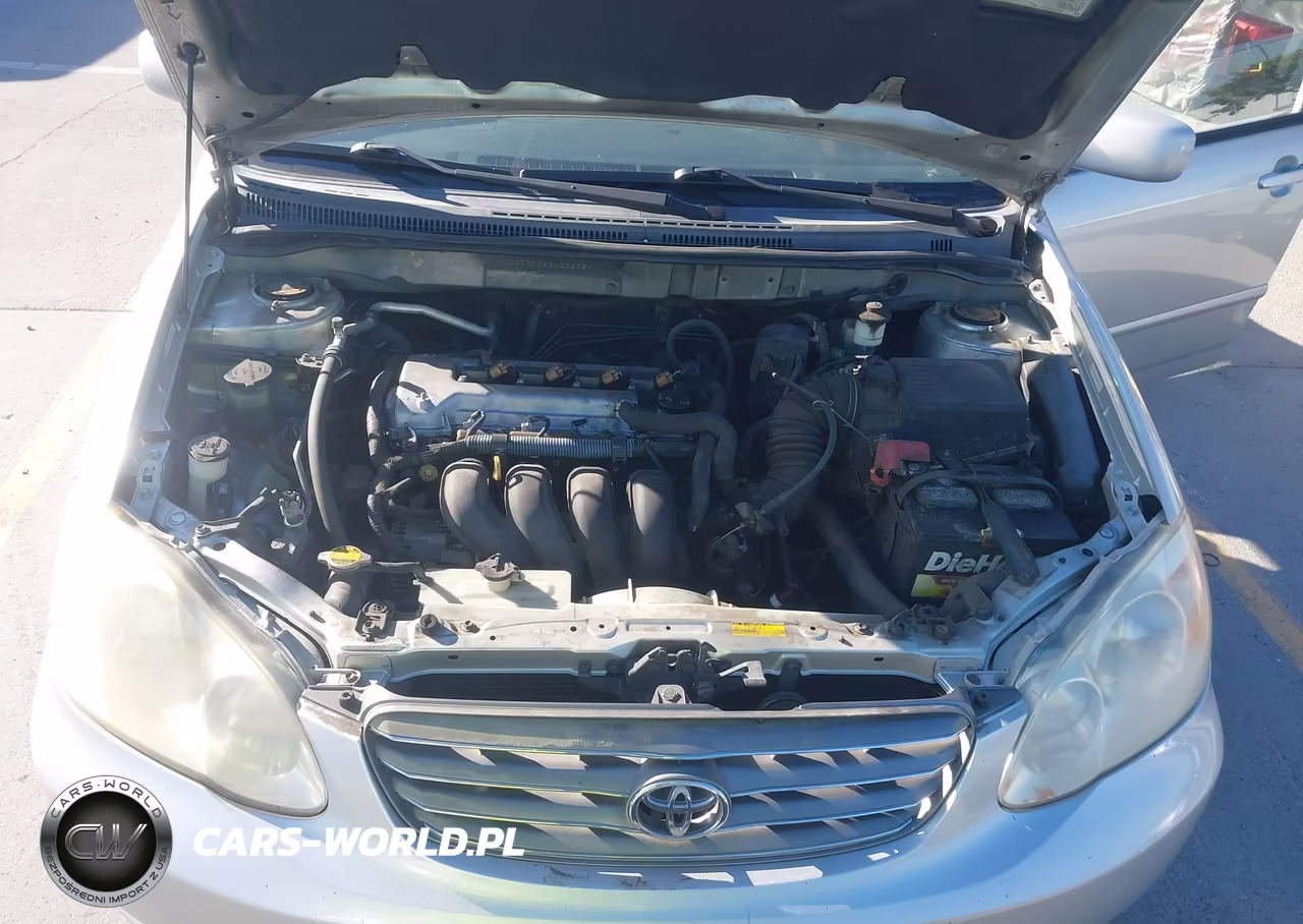 2004 Toyota Corolla Le VIN:JTDBR38E842029241 - 10