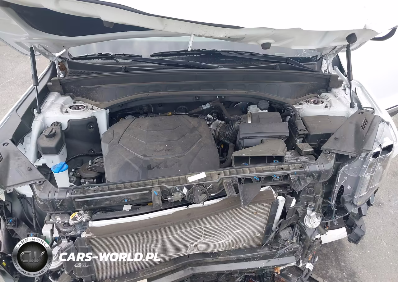 2025 Kia Telluride S VIN:5XYP64GC2SG624562 - 10