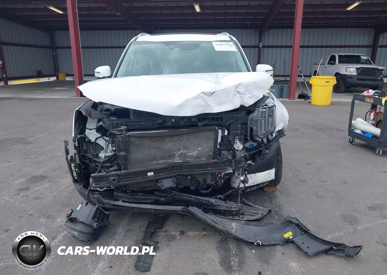 2025 Kia Telluride S VIN:5XYP64GC2SG624562 - 12