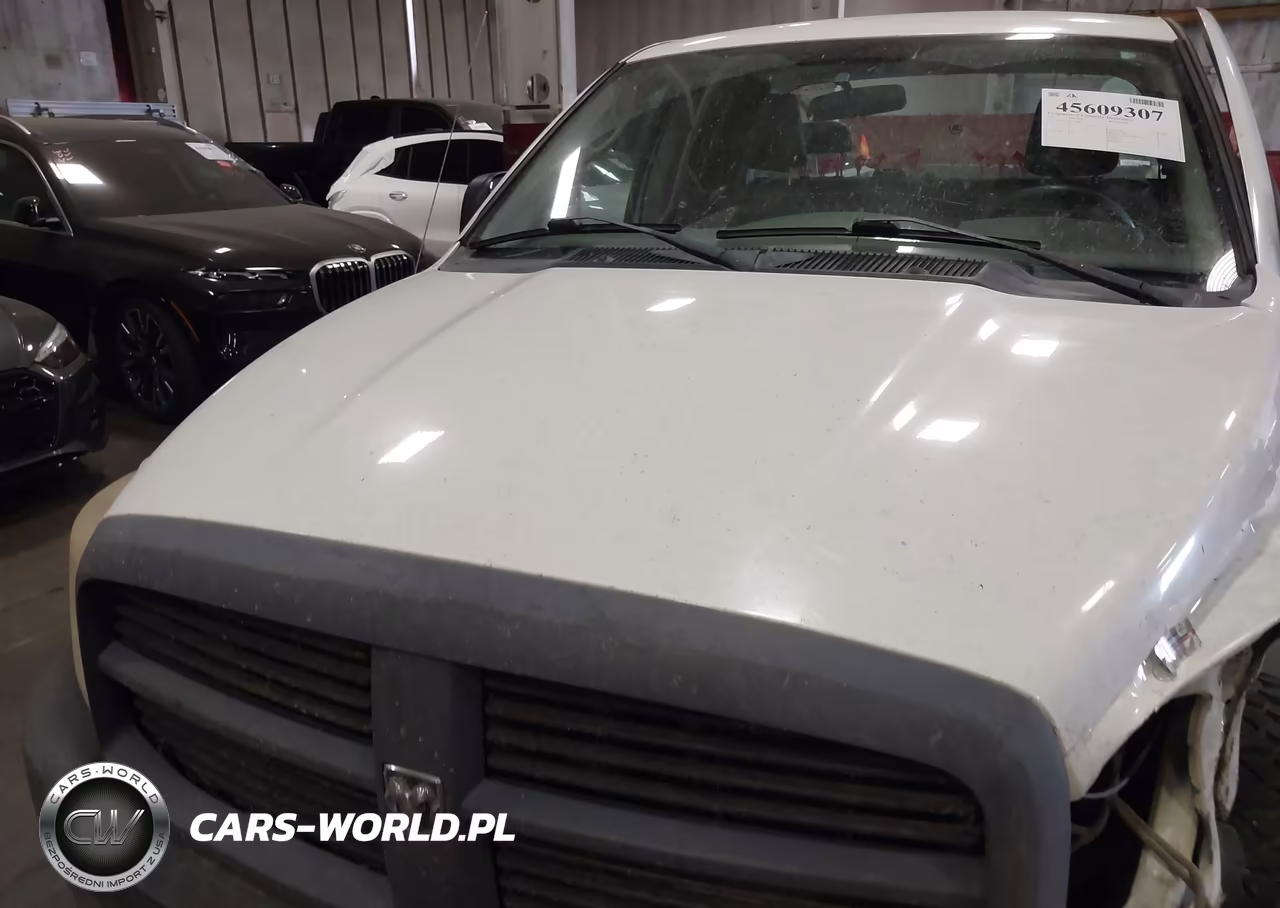 2007 Dodge Ram 1500 St VIN:1D7HU18P57J600070 - 10
