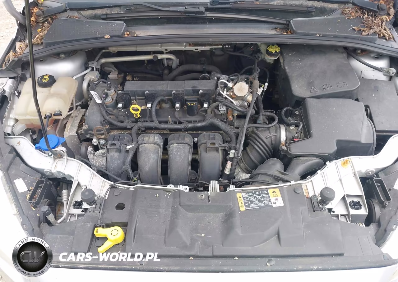 2016 Ford Focus Se VIN:1FADP3F21GL386594 - 10