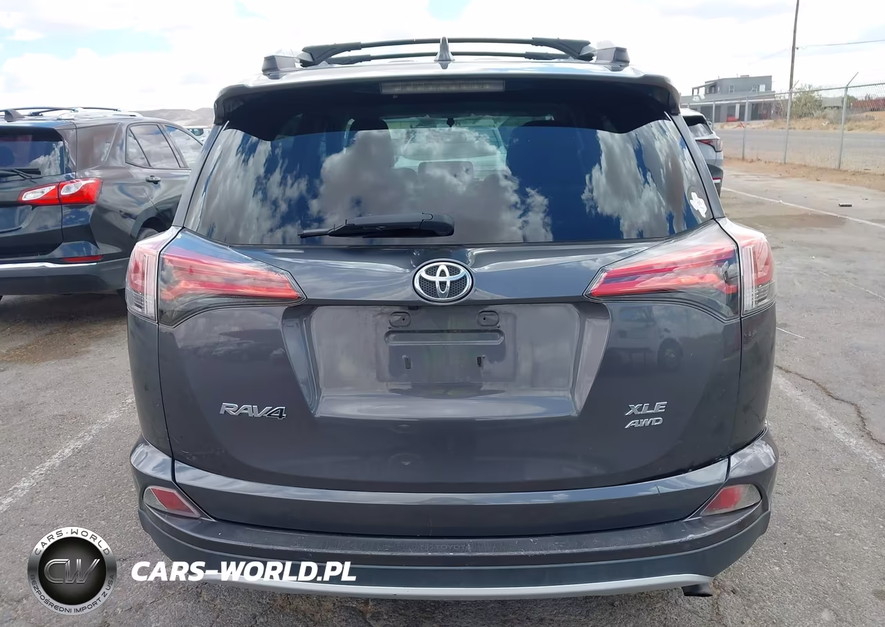 2016 Toyota Rav4 Xle VIN:2T3RFREV9GW467227 - 16