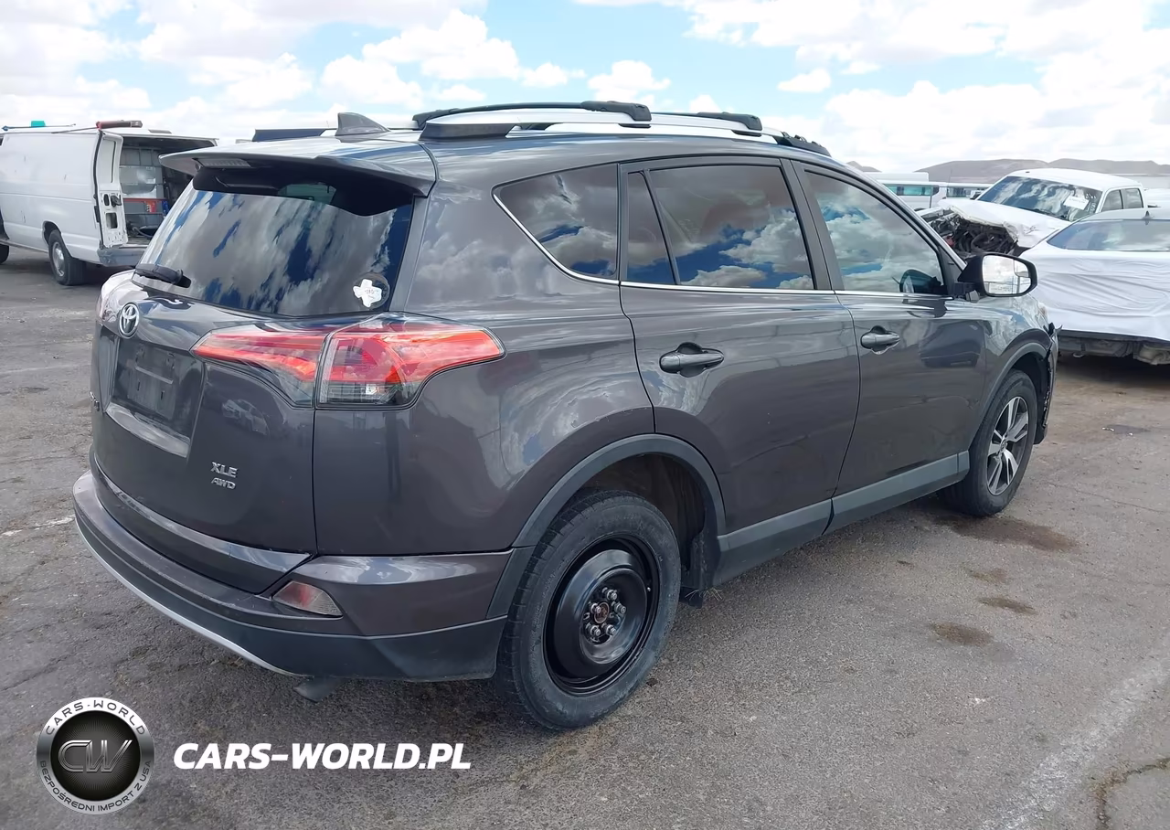 2016 Toyota Rav4 Xle VIN:2T3RFREV9GW467227 - 4