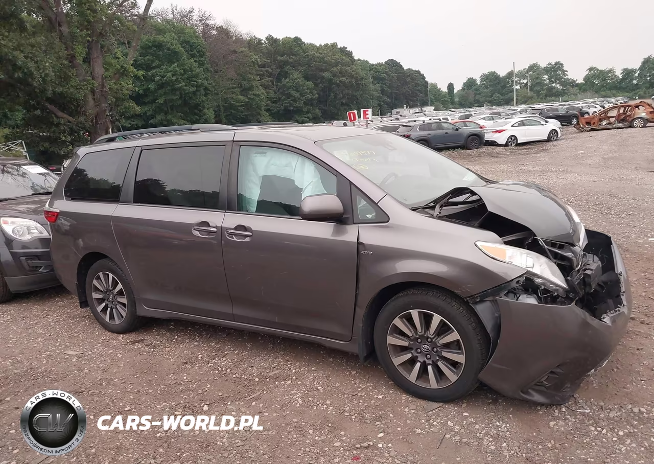2018 Toyota Sienna Xle 7 Passenger VIN:5TDDZ3DCXJS207068 - 13