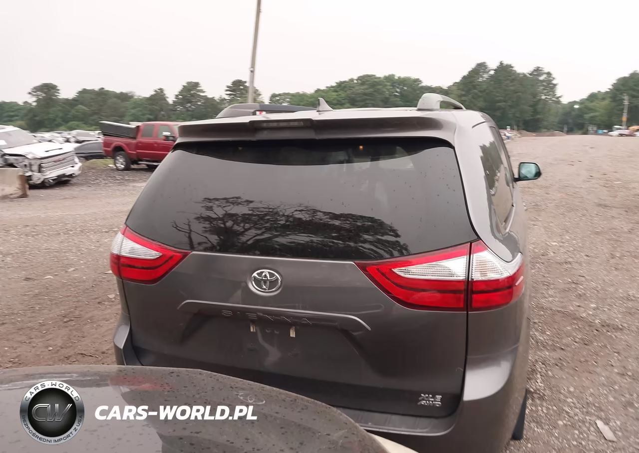 2018 Toyota Sienna Xle 7 Passenger VIN:5TDDZ3DCXJS207068 - 16