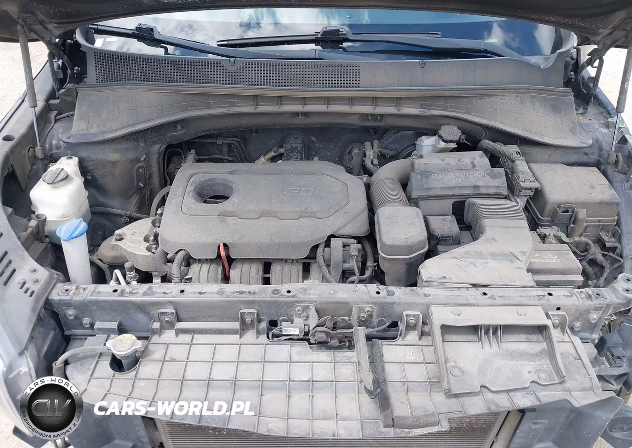 2019 Kia Sorento 2.4L Lx VIN:5XYPGDA39KG562714 - 10