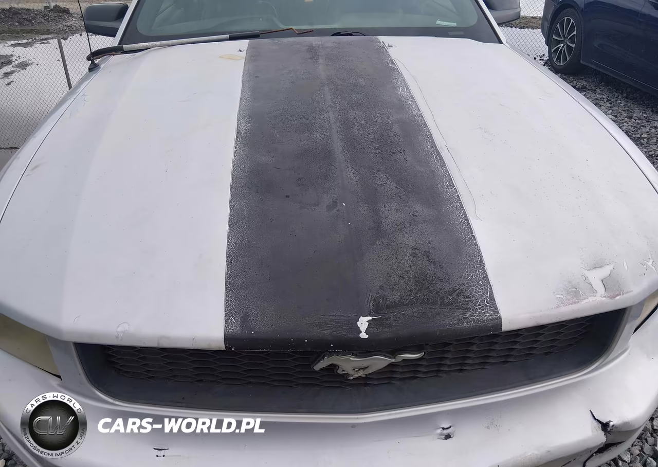 2006 Ford Mustang V6 VIN:1ZVFT80N065109353 - 13