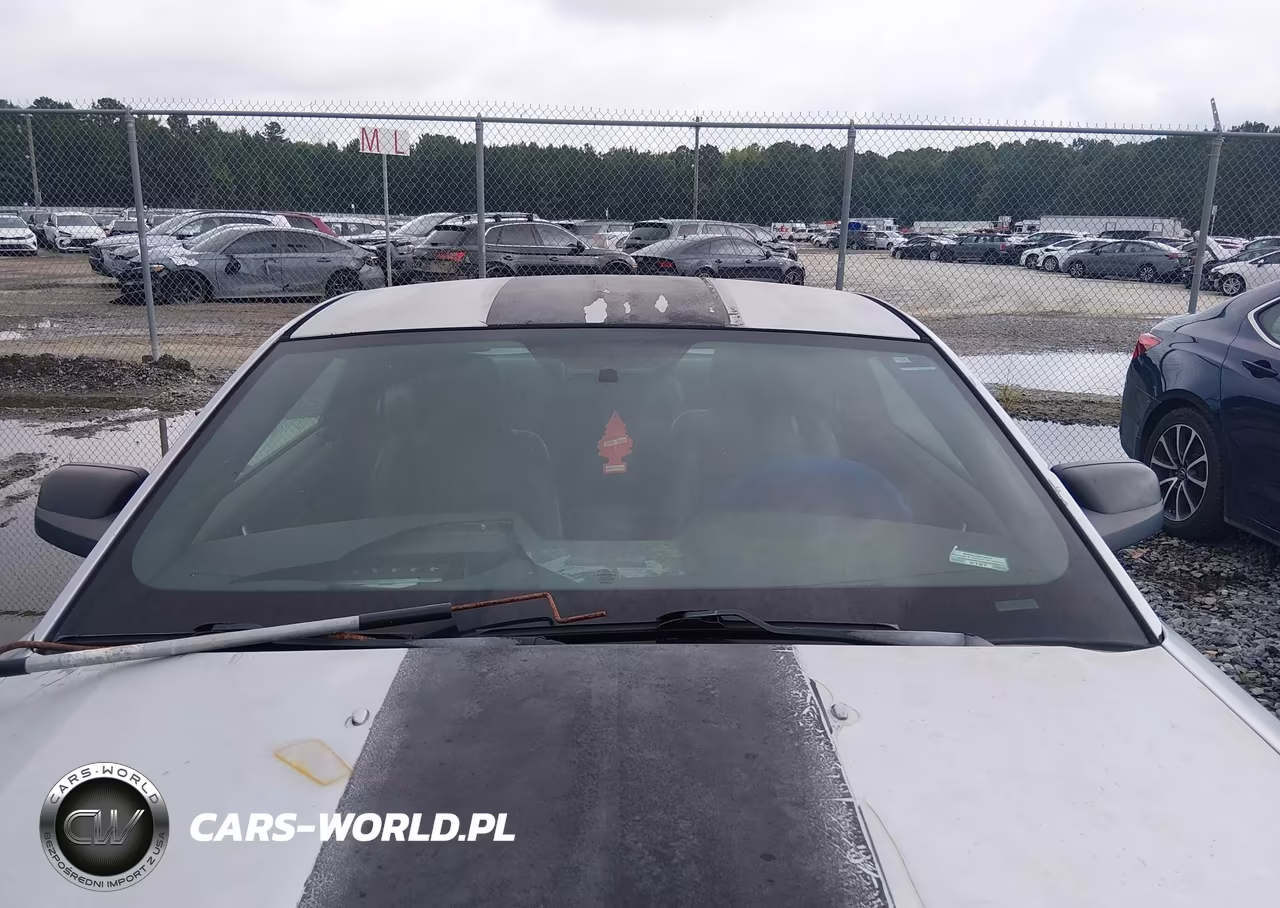 2006 Ford Mustang V6 VIN:1ZVFT80N065109353 - 14
