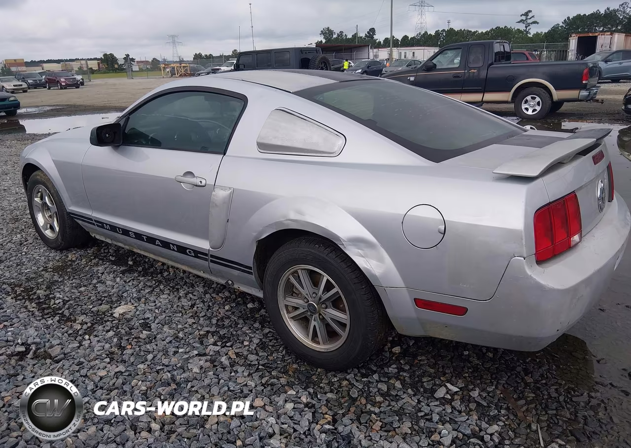 2006 Ford Mustang V6 VIN:1ZVFT80N065109353 - 3