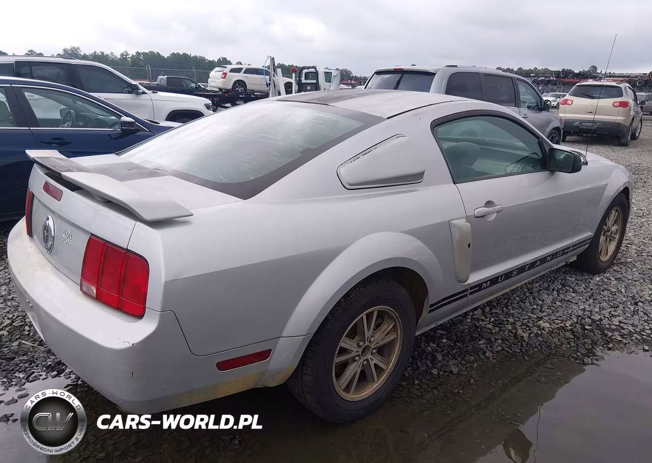 2006 Ford Mustang V6 VIN:1ZVFT80N065109353 - 4