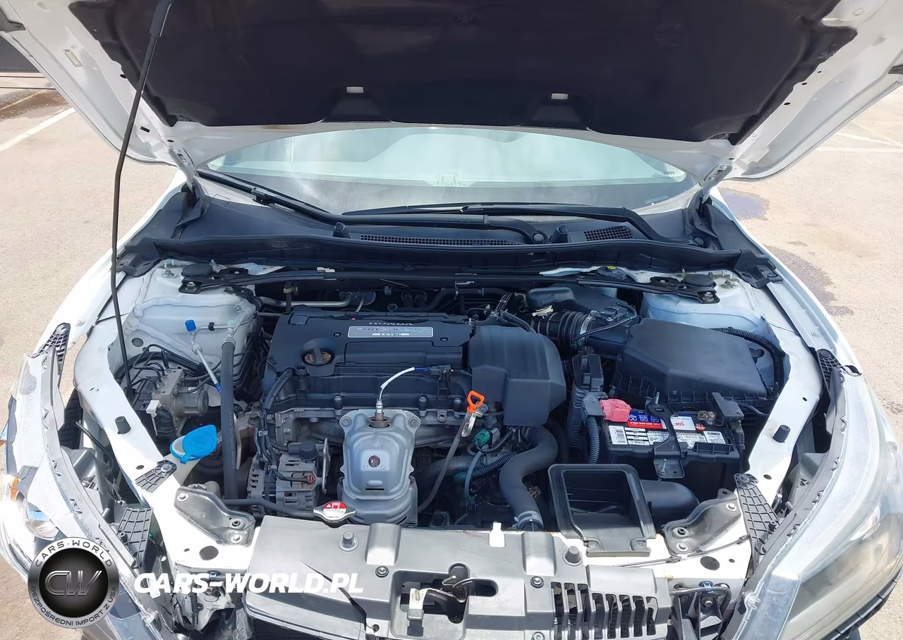 2013 Honda Accord Ex-L VIN:1HGCR2F89DA077740 - 10