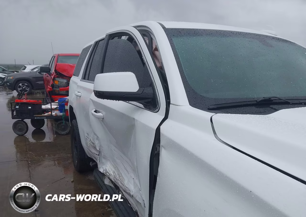 2018 Chevrolet Tahoe Commercial Fleet VIN:1GNLCDEC7JR269194 - 17