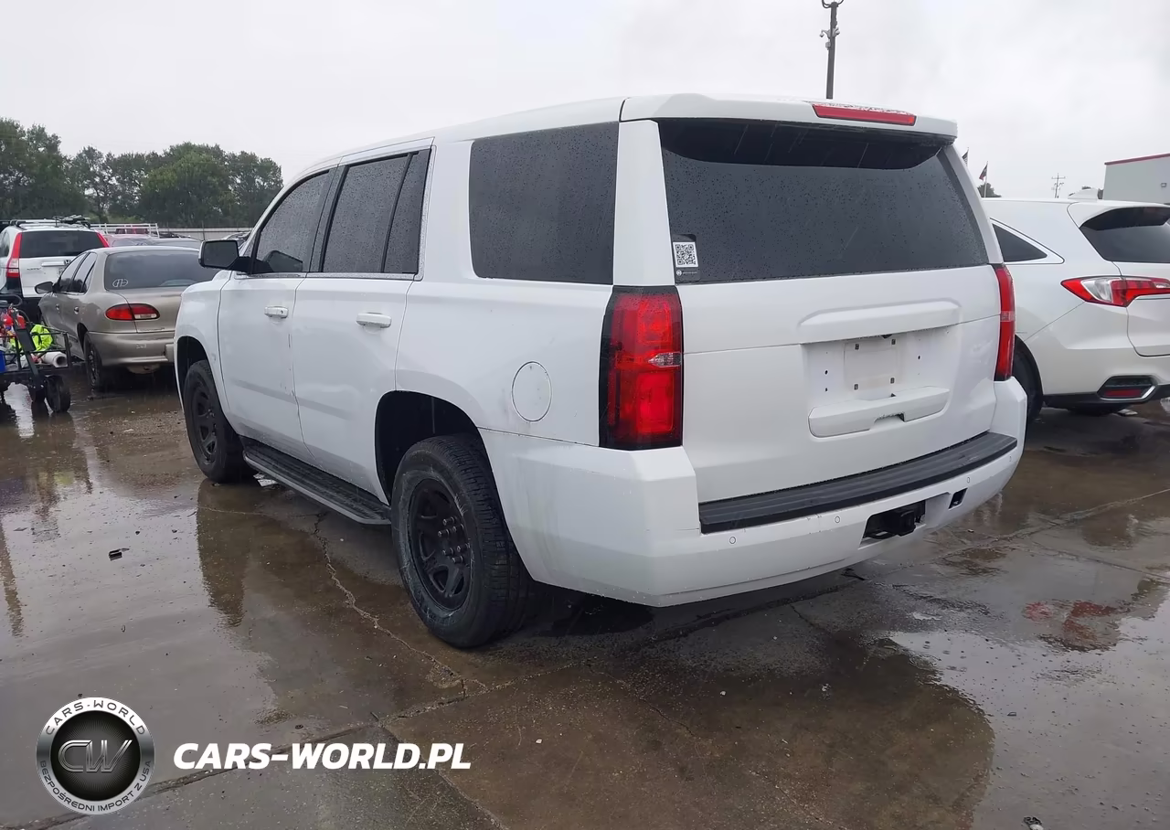 2018 Chevrolet Tahoe Commercial Fleet VIN:1GNLCDEC7JR269194 - 3