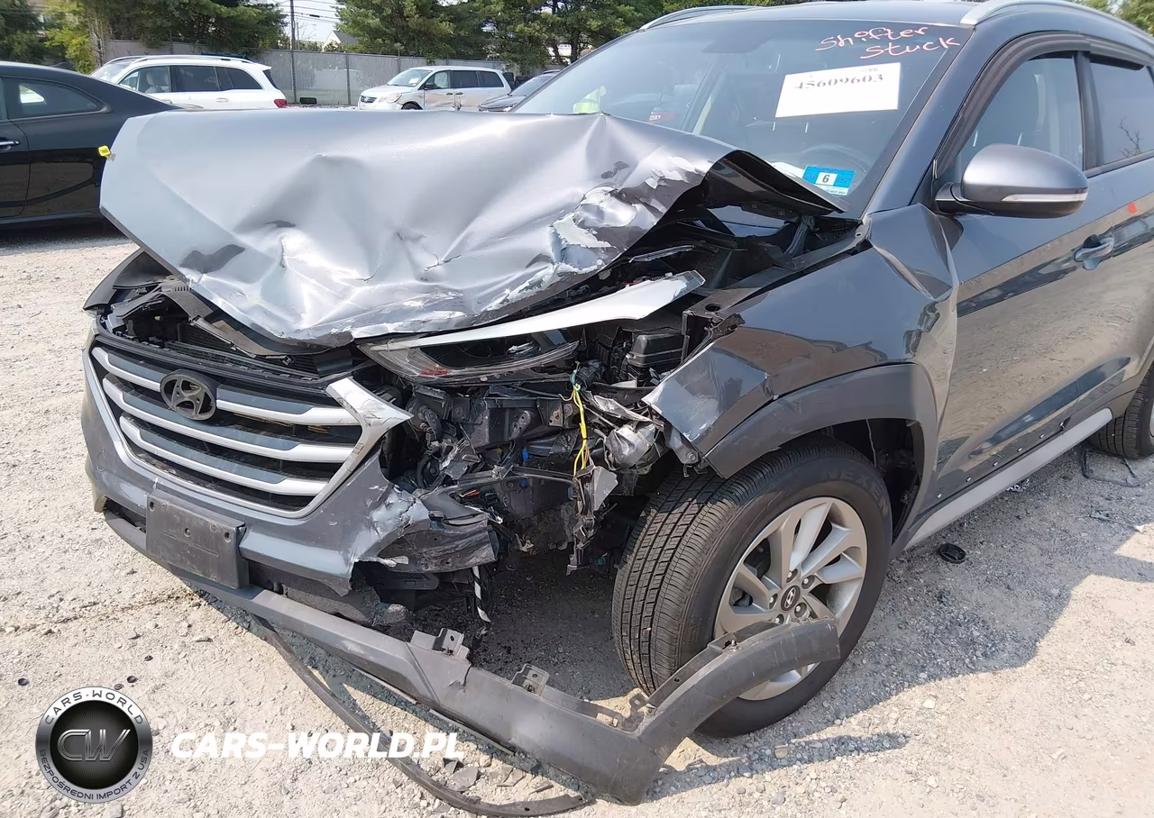 2017 Hyundai Tucson Se Plus VIN:KM8J33A40HU445885 - 18